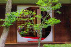 明月院