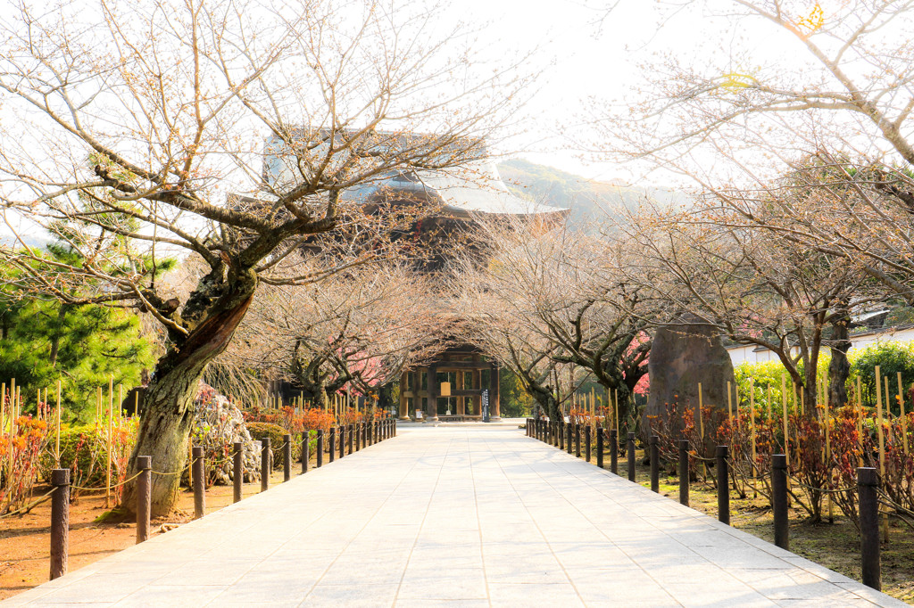 建長寺への道