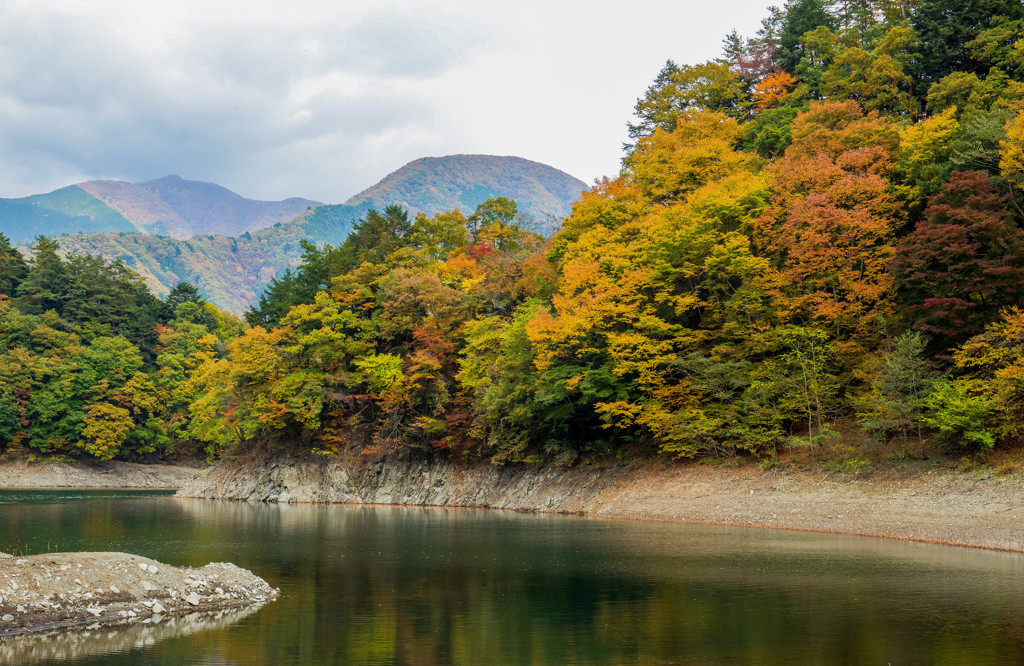 奥多摩湖　紅葉