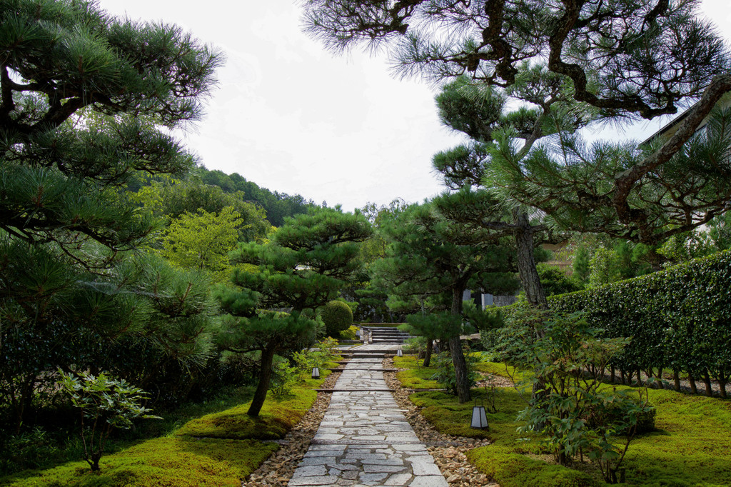 お寺の道ってこんな感じが多いよね