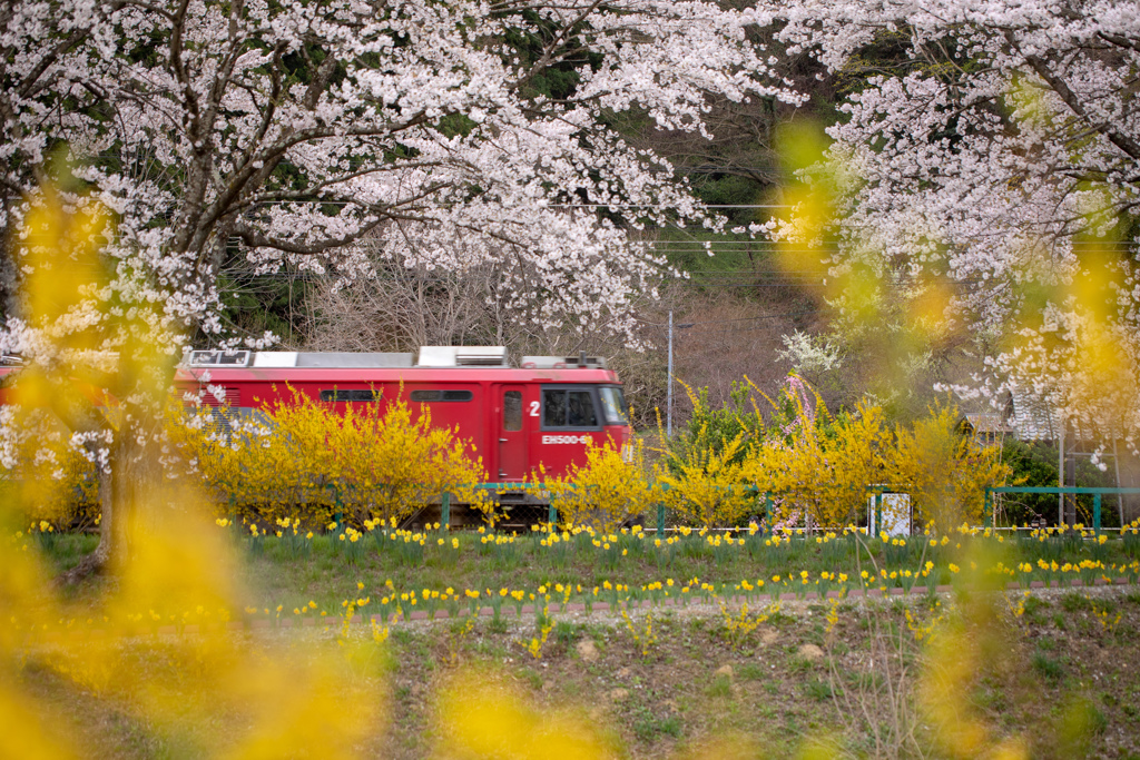 春の景色を通り抜けて By M Shino310 Id 写真共有サイト Photohito