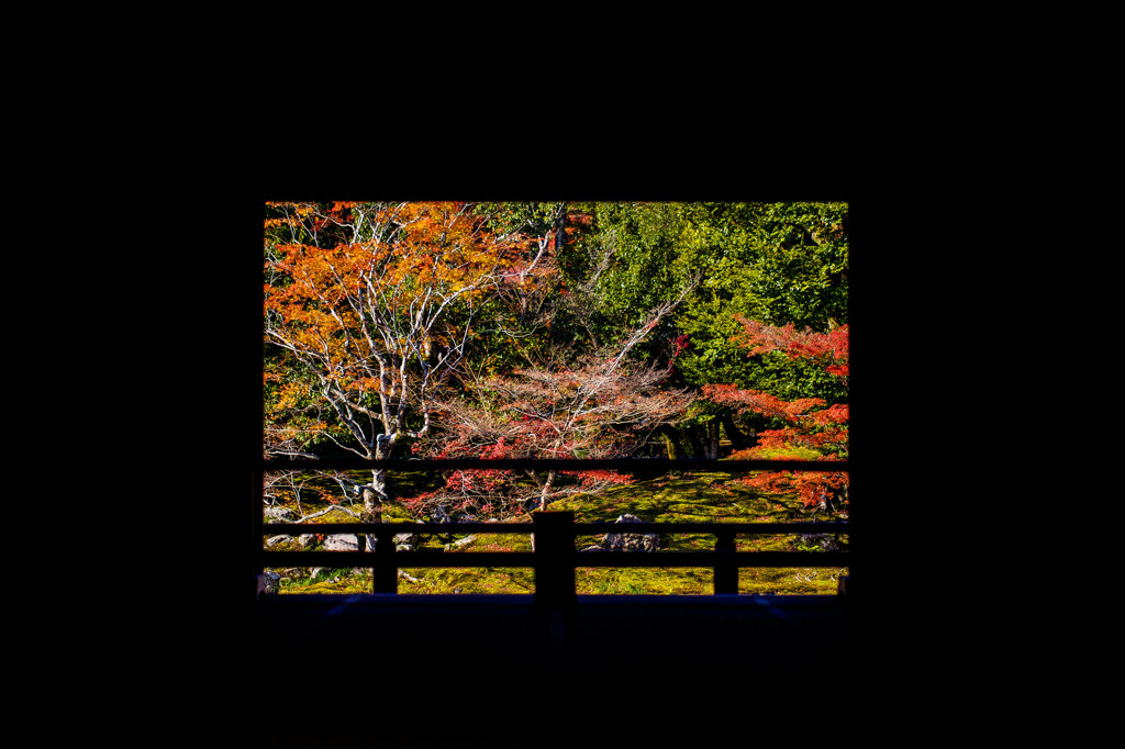 天龍寺　本堂越しの紅葉