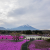 ２つの富士山