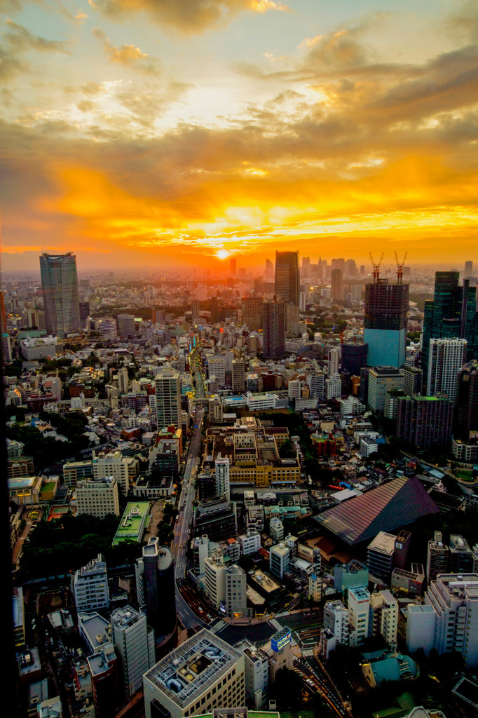 東京タワー大展望台からの夕陽