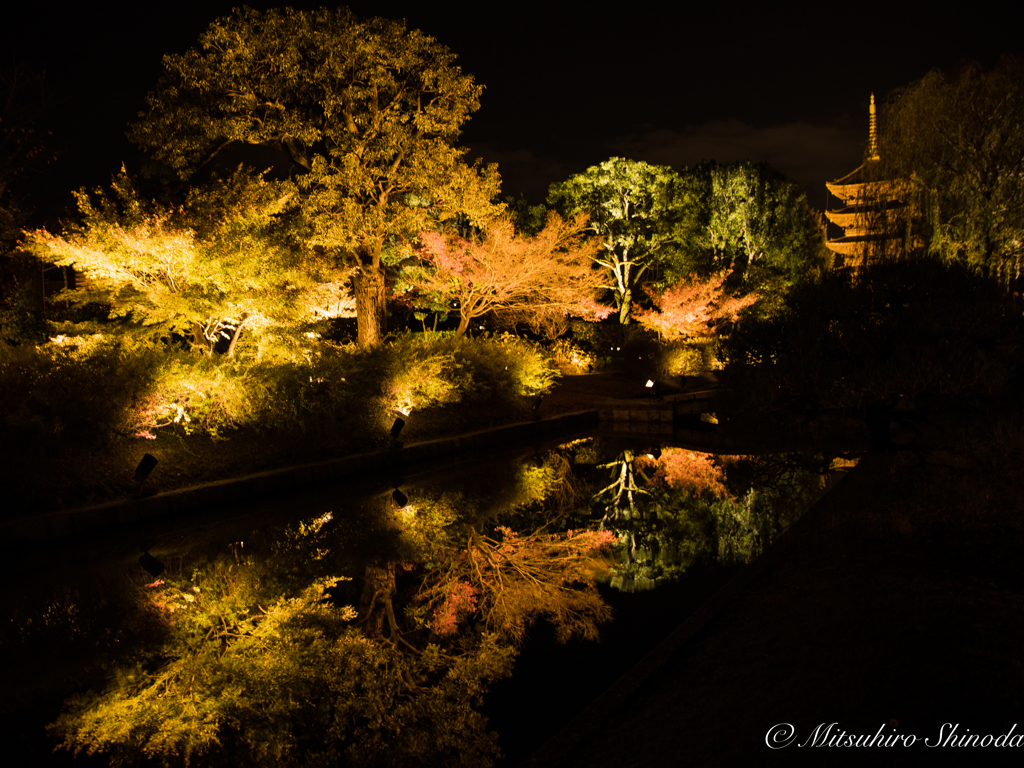 東寺 Reflection