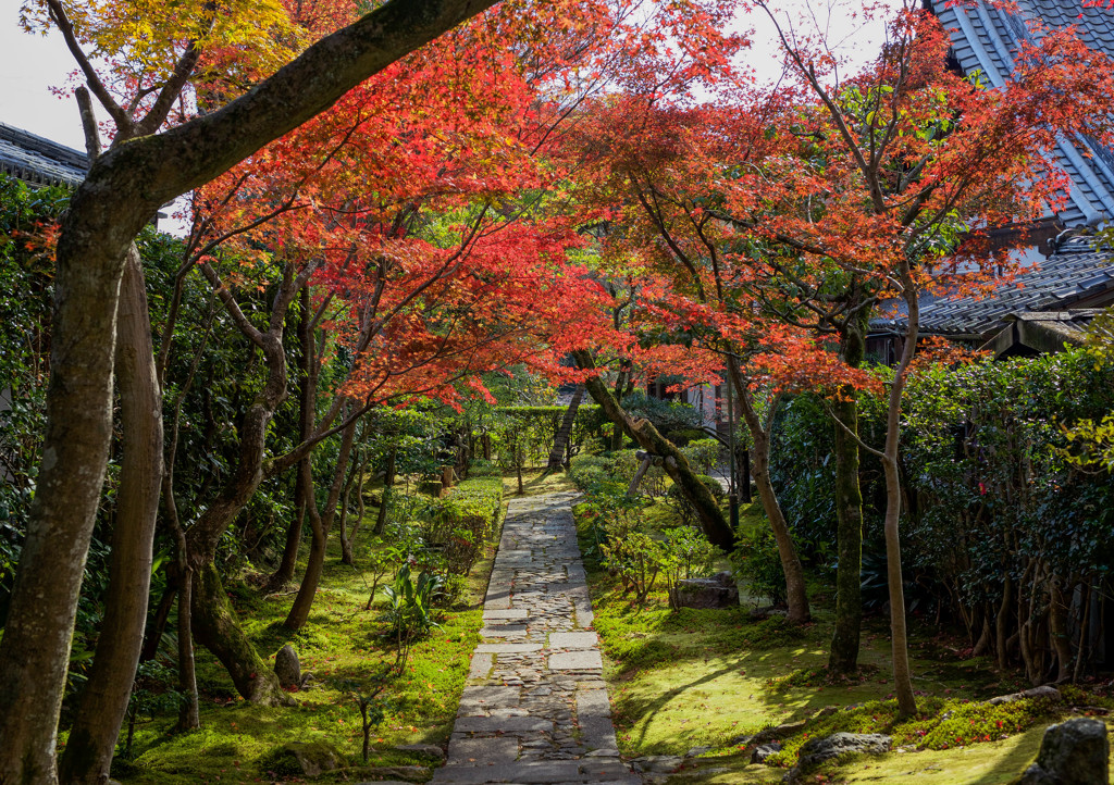 龍安寺