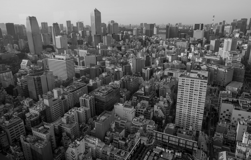 これぞ東京ジャングル！！