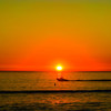 サンタモニカの夕陽