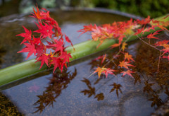 圓光寺　水琴窟