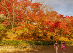 着物で参拝　清水寺