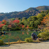 天龍寺　方丈庭園