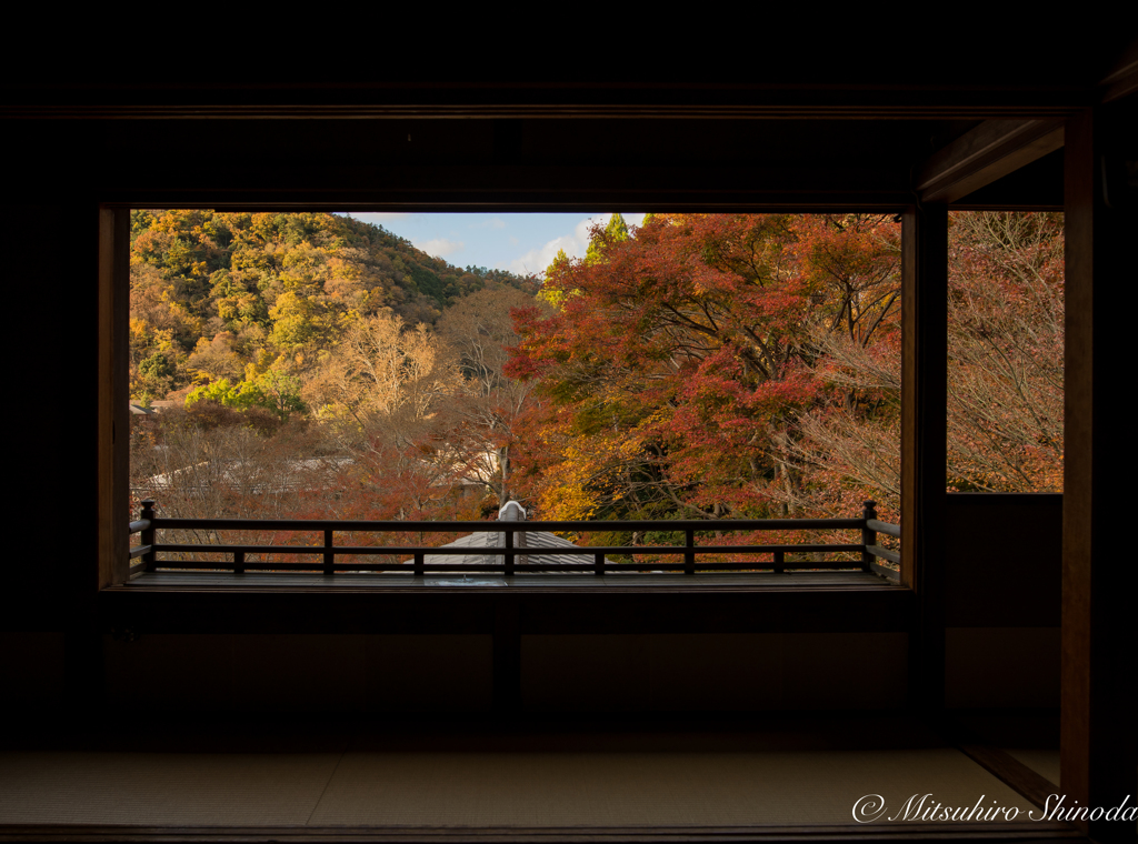 額縁庭園っぽく撮影