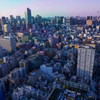 大都会　東京