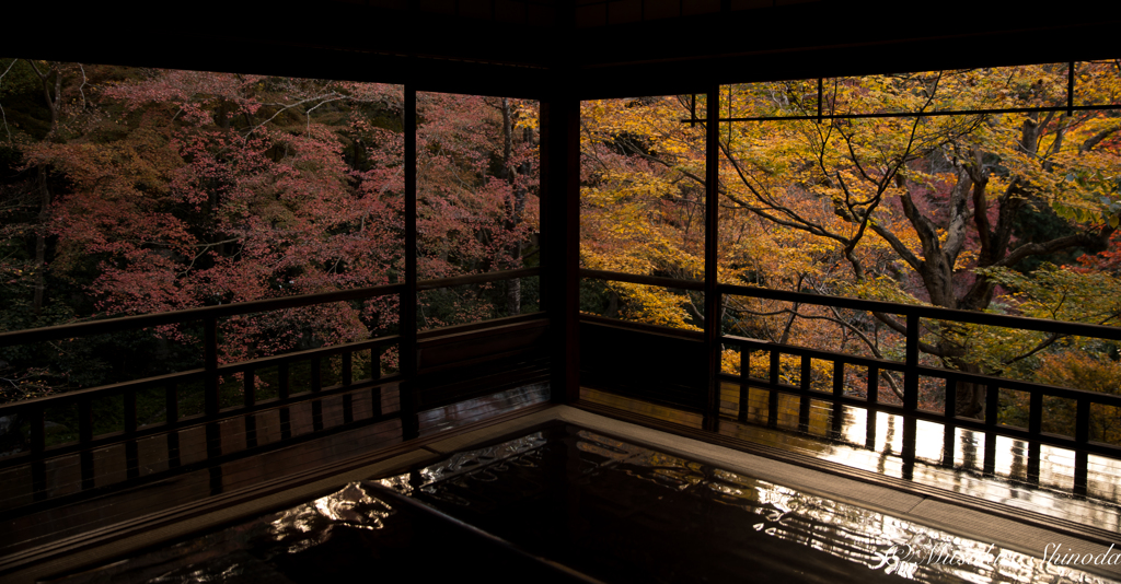 瑠璃光院