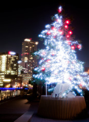 クリスマスツリー