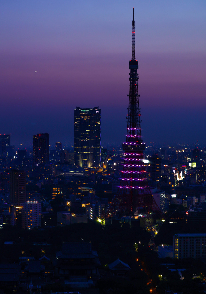 夕暮れの東京タワー