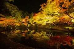 京都　高台寺　ライトアップ