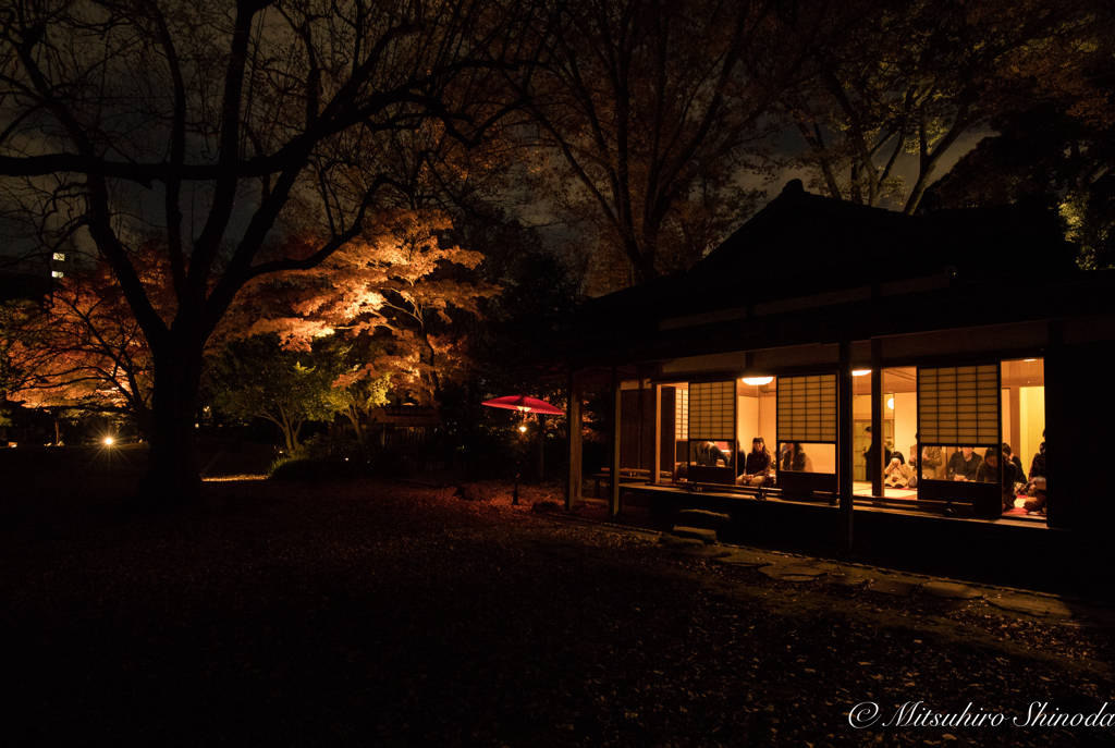 秋夜の寛ぎ