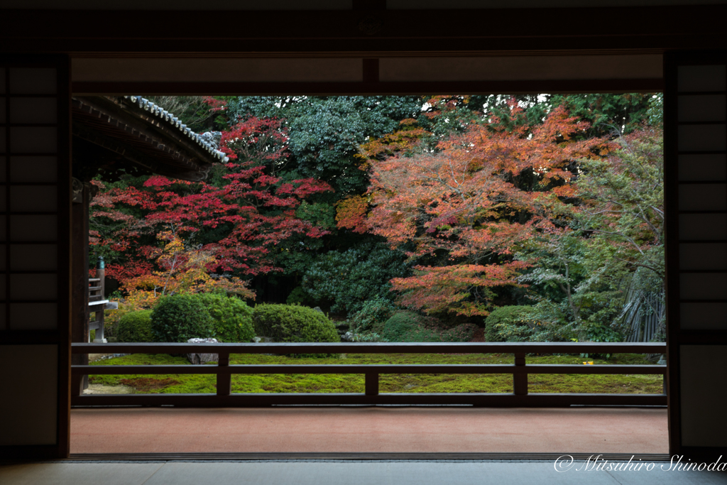 額縁庭園