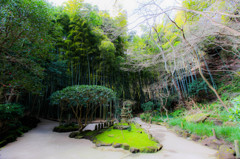 報国寺　竹林