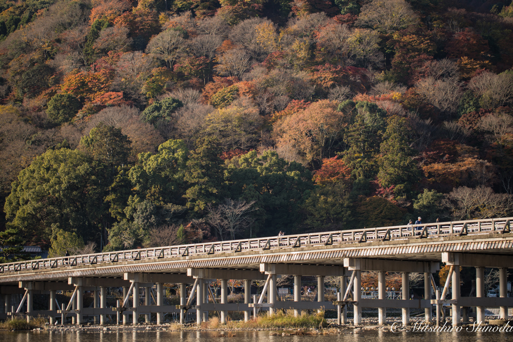 渡月橋