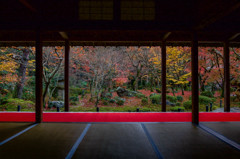 圓光寺　額縁庭園