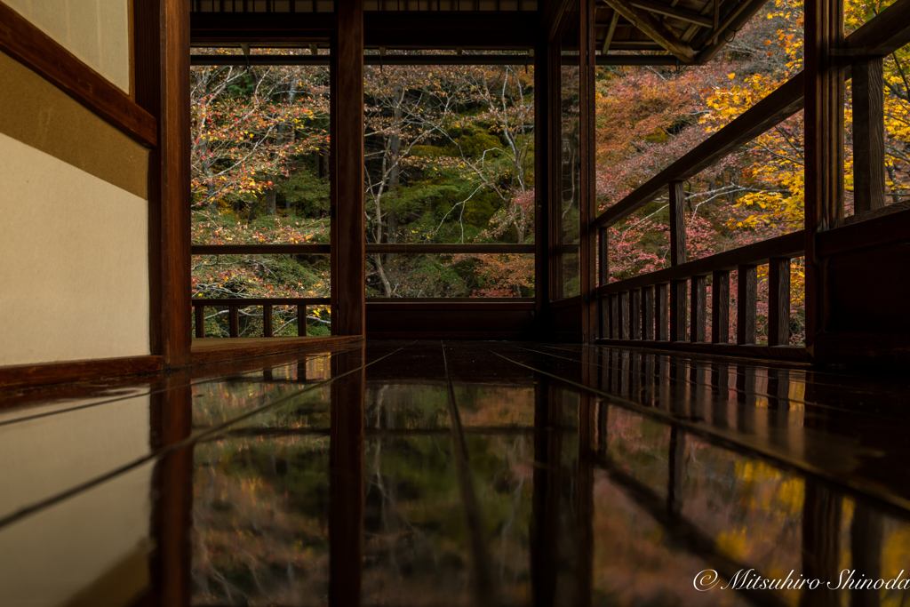 瑠璃光院