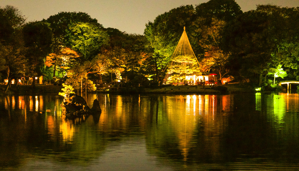 六義園　ライトアップ