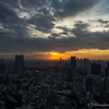 東京夕陽