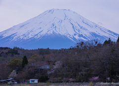 本栖湖からの眺望