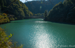 大井川鐵道の車窓から