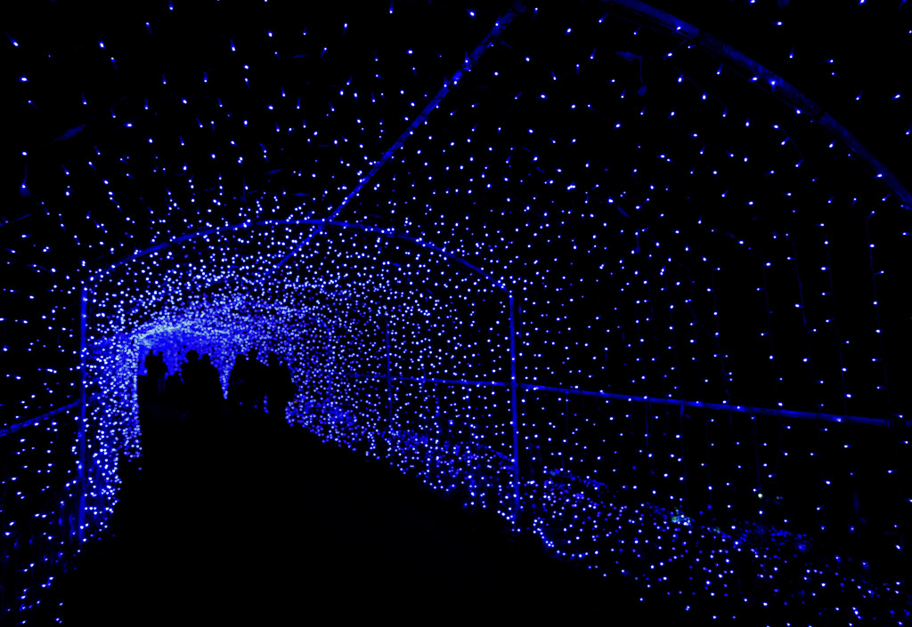 青いトンネル