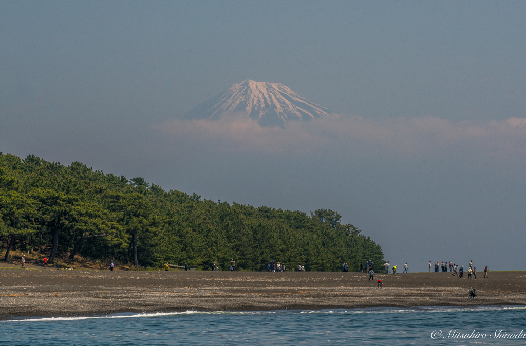三保の松原の海辺から富士山を…