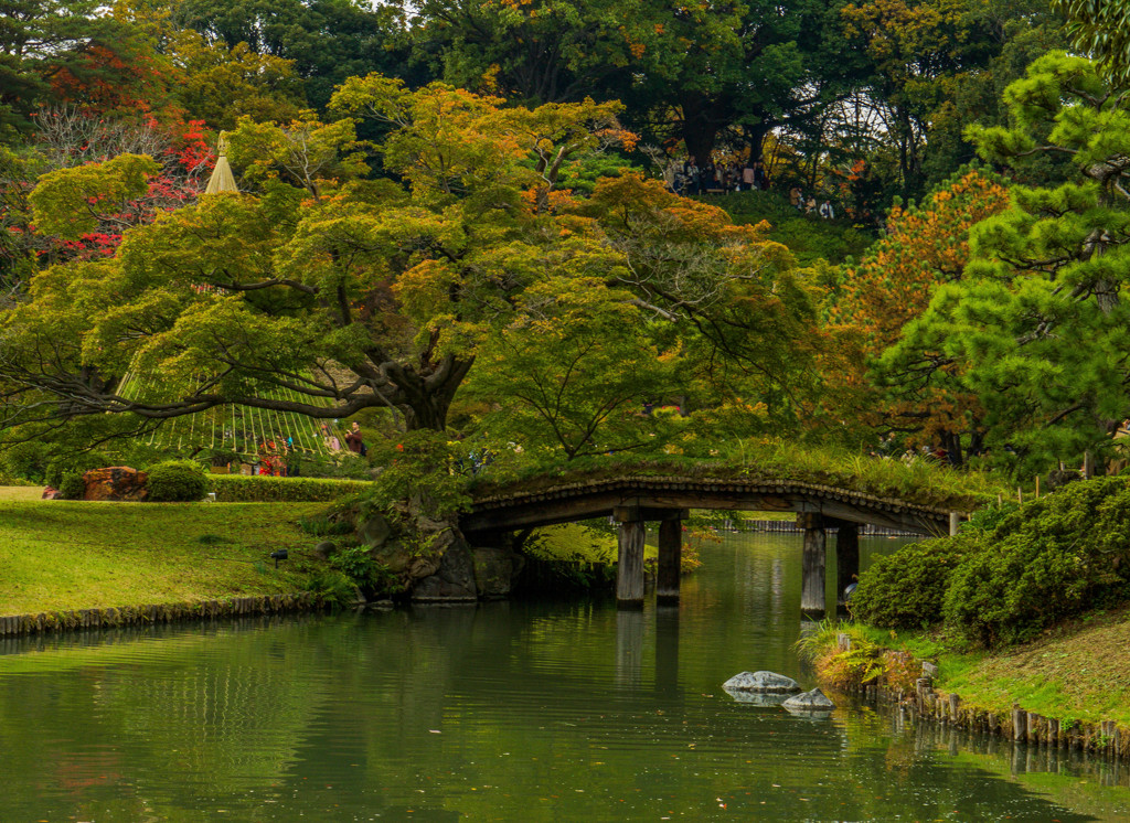 六義園　渡り橋