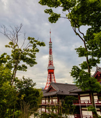 東京タワー