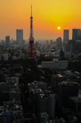 東京タワーの夕焼け