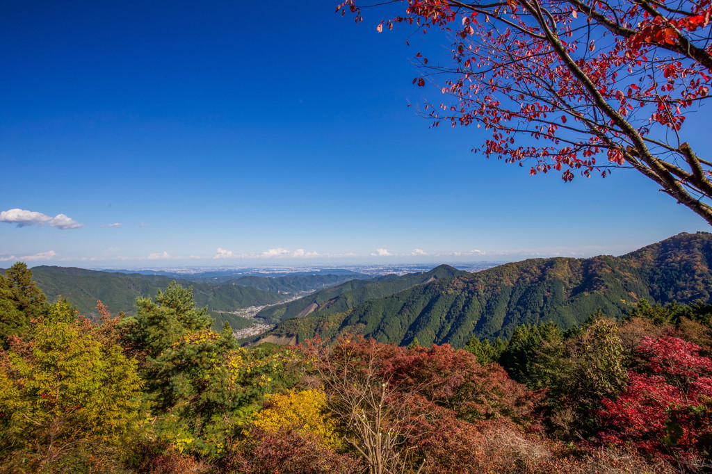 御岳山　紅葉