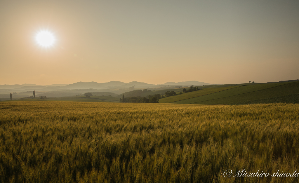 夕暮れ時、いつもの風景