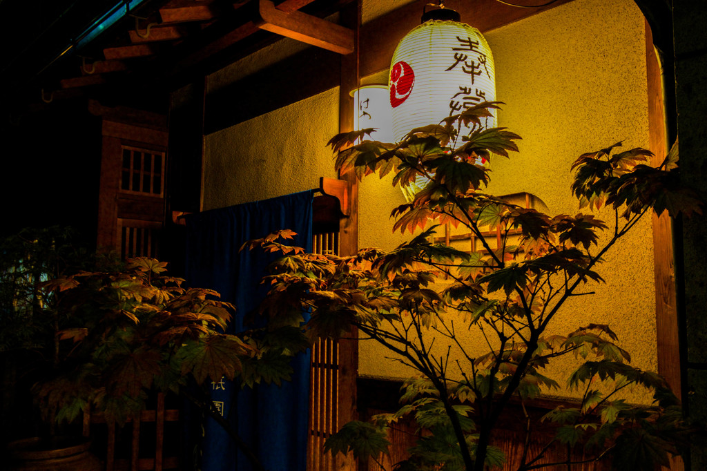 祇園の夜
