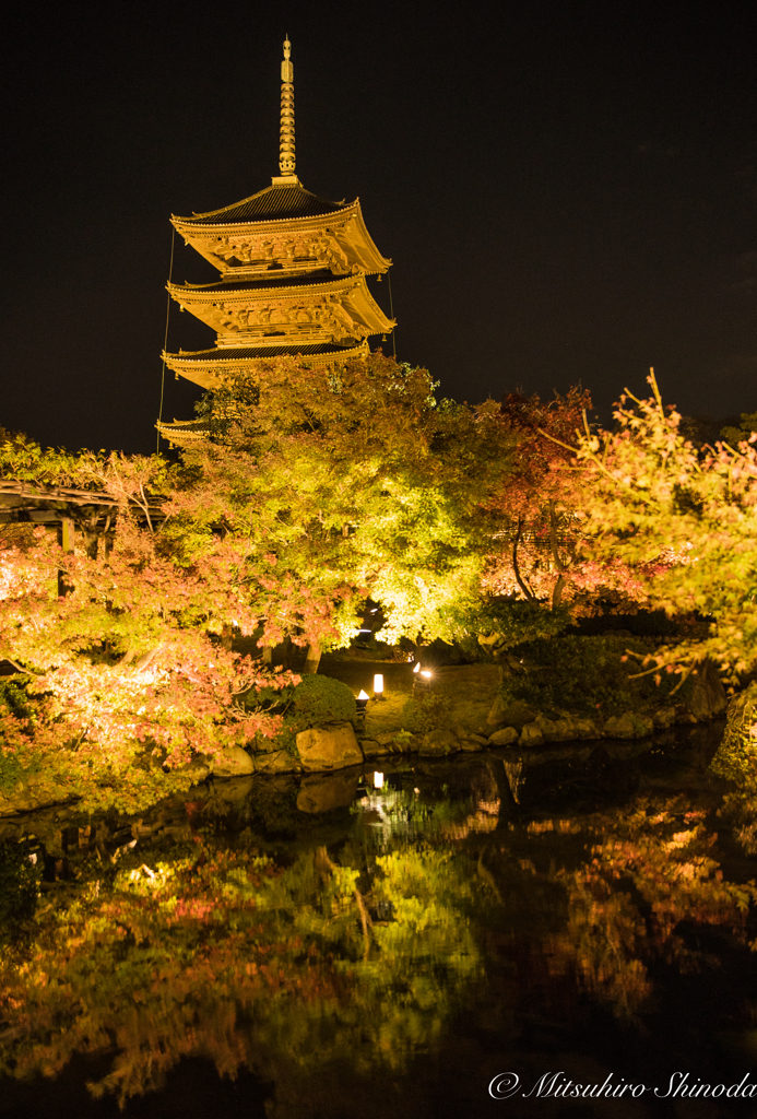 東寺＆Reflection