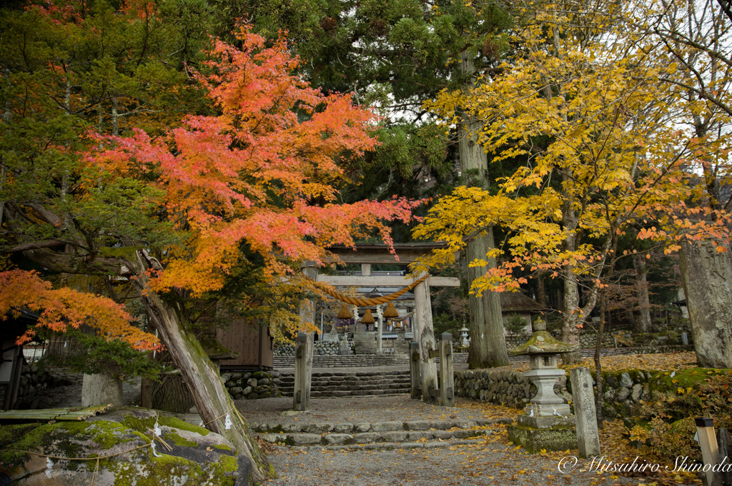 白川八幡神社