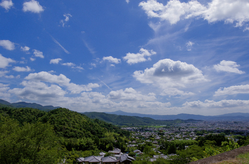 初夏の京都の眺望