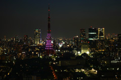 東京タワーの夜景