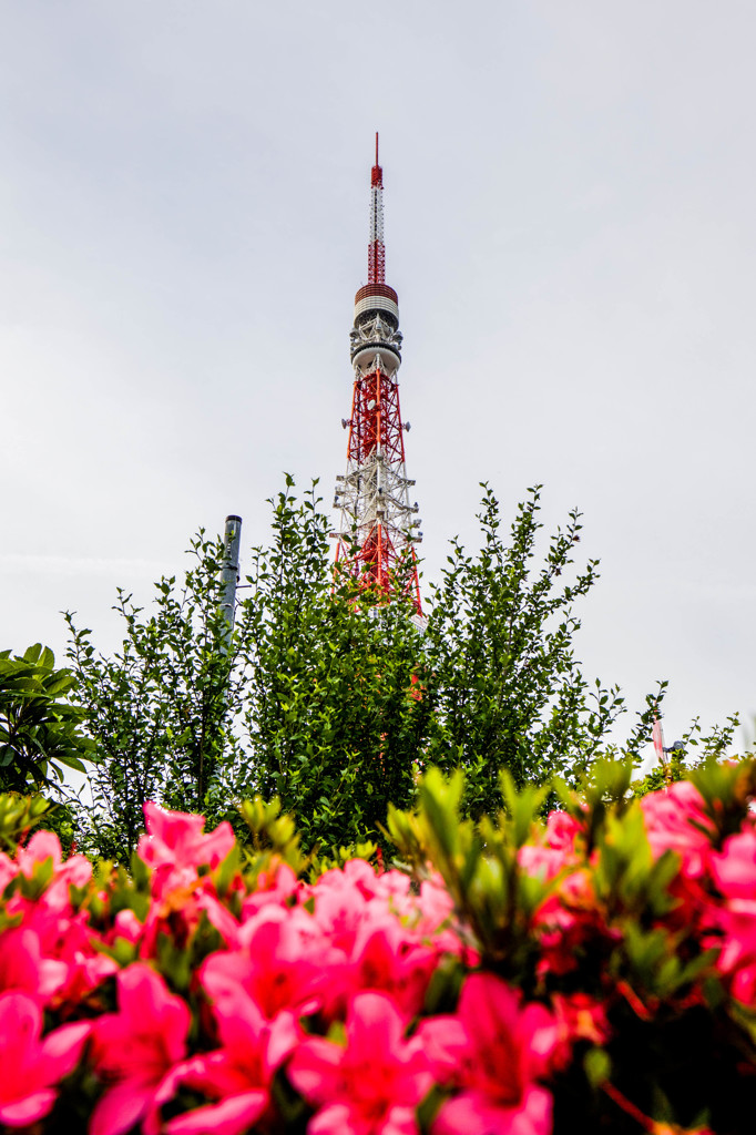 東京タワー