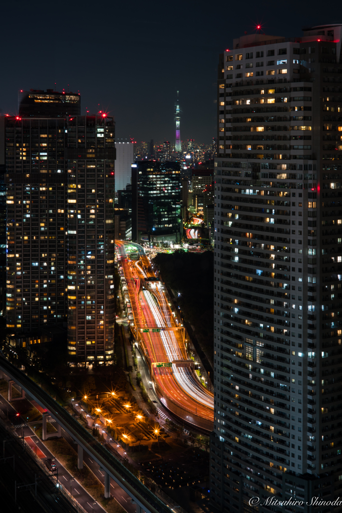 東京スカイツリーが見えますかー？