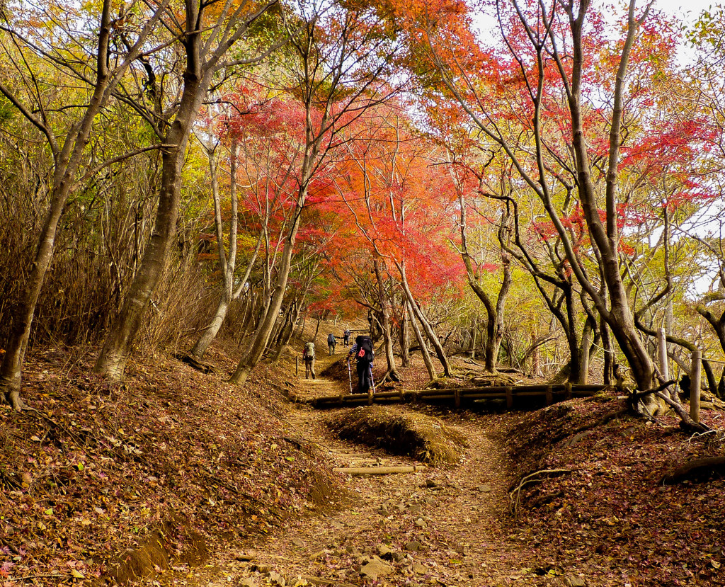 山登り　紅葉