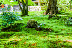 大原　三千院　わらべ地蔵