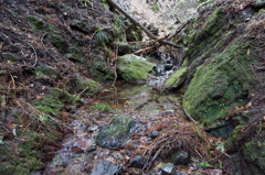 DSC00127