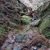 DSC00127