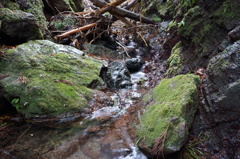 DSC00129